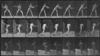 MUYBRIDGE, EADWEARD (1830-1904) From "Animal Locomotion [Base-ball, Batting]."